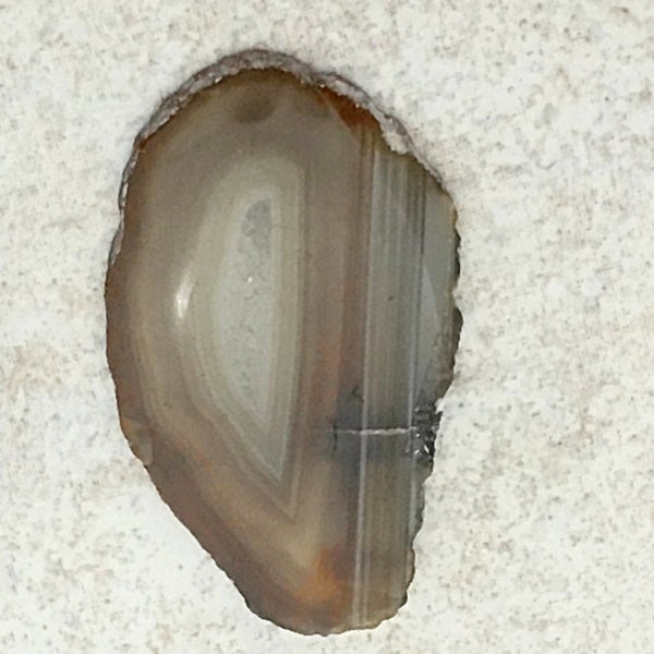 Natural Agate Slice 2 Inches - New Earth Gifts