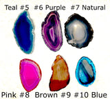 Polished Agate Slices of Assorted Colors 3 Inches - New Earth Gifts 
