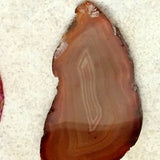 Polished Agate Brown Slices 3 Inches - New Earth Gifts 