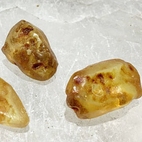 Amber 1pc Beautiful Natural Fossilized Stone - New Earth Gifts