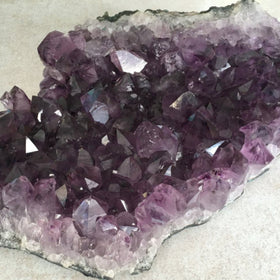 Amethyst Druse - Extra Large Brazilian Cluster - New Earth Gifts