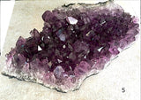 Amethyst Druse - Extra Large Brazilian Cluster - New Earth Gifts
