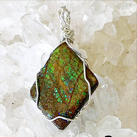 Ammolite Green Fossilized Pendant - New Earth Gifts