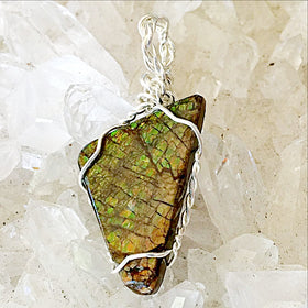 Ammolite Fossilized Pendants - New Earth Gifts