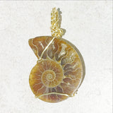 Ammonite Fossil Pendant - New Earth Gifts and Beads
