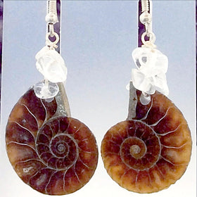Ammonite Earrings - New Earth Gifts