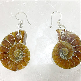Ammonite Sterling Silver Earrings - New Earth Gifts