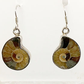 Split Ammonite Earrings | New Earth Gifts