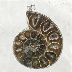 Ammonite Pendant | New Earth Gifts