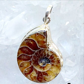Ammonite Sterling Silver Pendants - New Earth Gifts