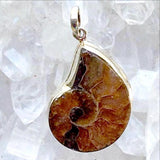 Ammonite Sterling Pendant - New Earth Gifts
