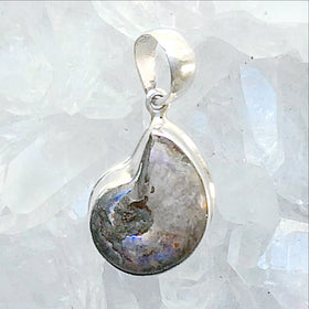 Ammonite Sterling Silver Pendant with Lovely Titanium Coating - New Earth Gifts
