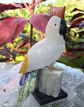 Gemstone Cockatoo Carving - New Earth Gifts