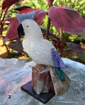 Gemstone Cockatoo Carving | New Earth Gifts