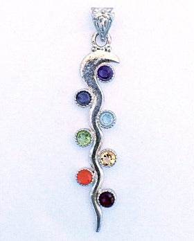 Chakra Serpent Pendant - New Earth Gifts