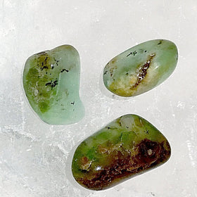 Chrysoprase  Tumbled Stone 1 pc -New Earth Gifts