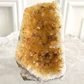 Citrine Druse Cut Base Great Table Crystal | New Earth Gifts