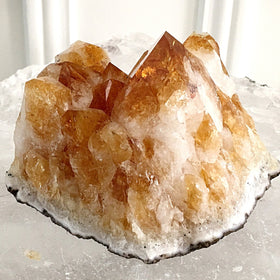 Citrine Druse Cut Base Sparkling Mountain of Crystals | New Earth Gifts