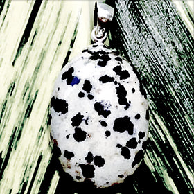 Dalmatian Jasper Oval Gemstone Pendant | New Earth Gifts