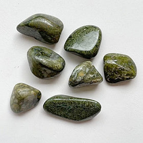 Epidote Tumbled Polished 1 pc Specimen - New Earth Gifts