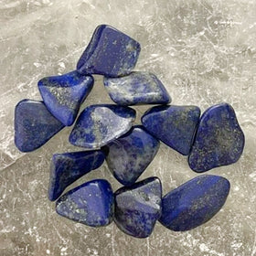 Lapis Cabochons 12 pc Lot - Free Forms | New Earth Gifts