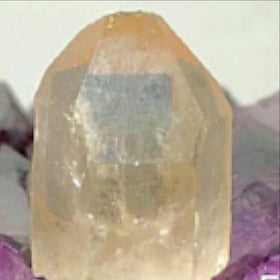 Lemurian Seed Crystal - Ancient Stone | New Earth Gifts