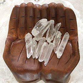 Lemurian Clear Seed Crystals 11 pc Lot | New Earth Gifts