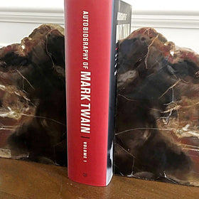 Petrified Wood Bookends | New Earth Gifts