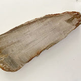 Petrified Wood Slab - New Earth Gifts