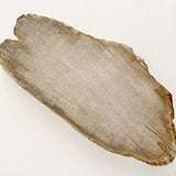 Petrified Wood Slab - New Earth Gifts
