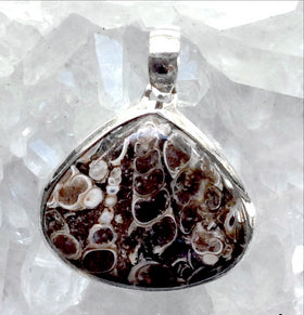 Turritella Agate Sterling Silver Pendant - Genuine Fossil - New Earth Gifts