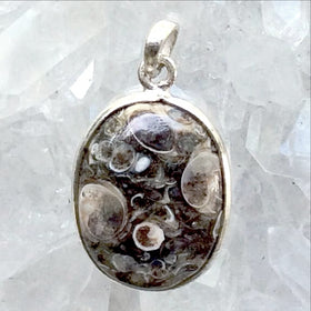 Turritella Agate Oval Sterling Pendant - New Earth Gifts
