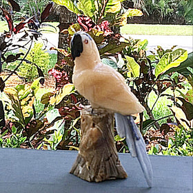Gemstone Parrot in Yellow Calcite - New Earth Gifts