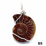 Ammonite Fossil Wire Wrapped Pendant - New Earth Gifts and Beads