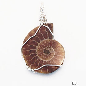 Ammonite Pendant - Wire Wrapped Ammonites - New Earth Gifts and Beads