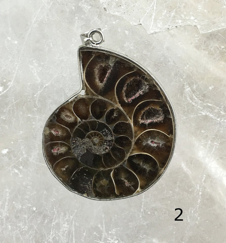 Fossil Jewelry