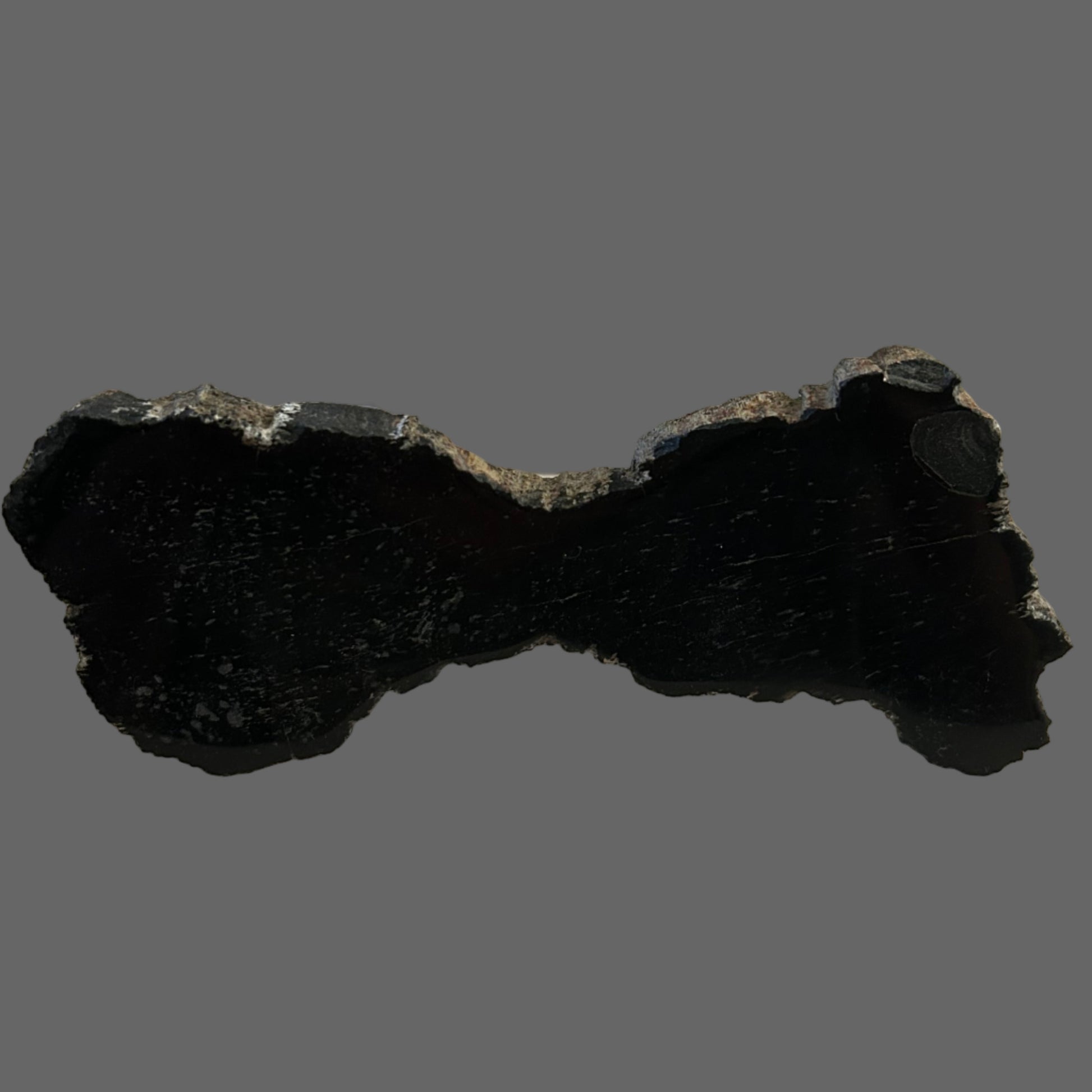 Indonesian Petrified Wood Slab - Polished For Sale New Earth Gifts