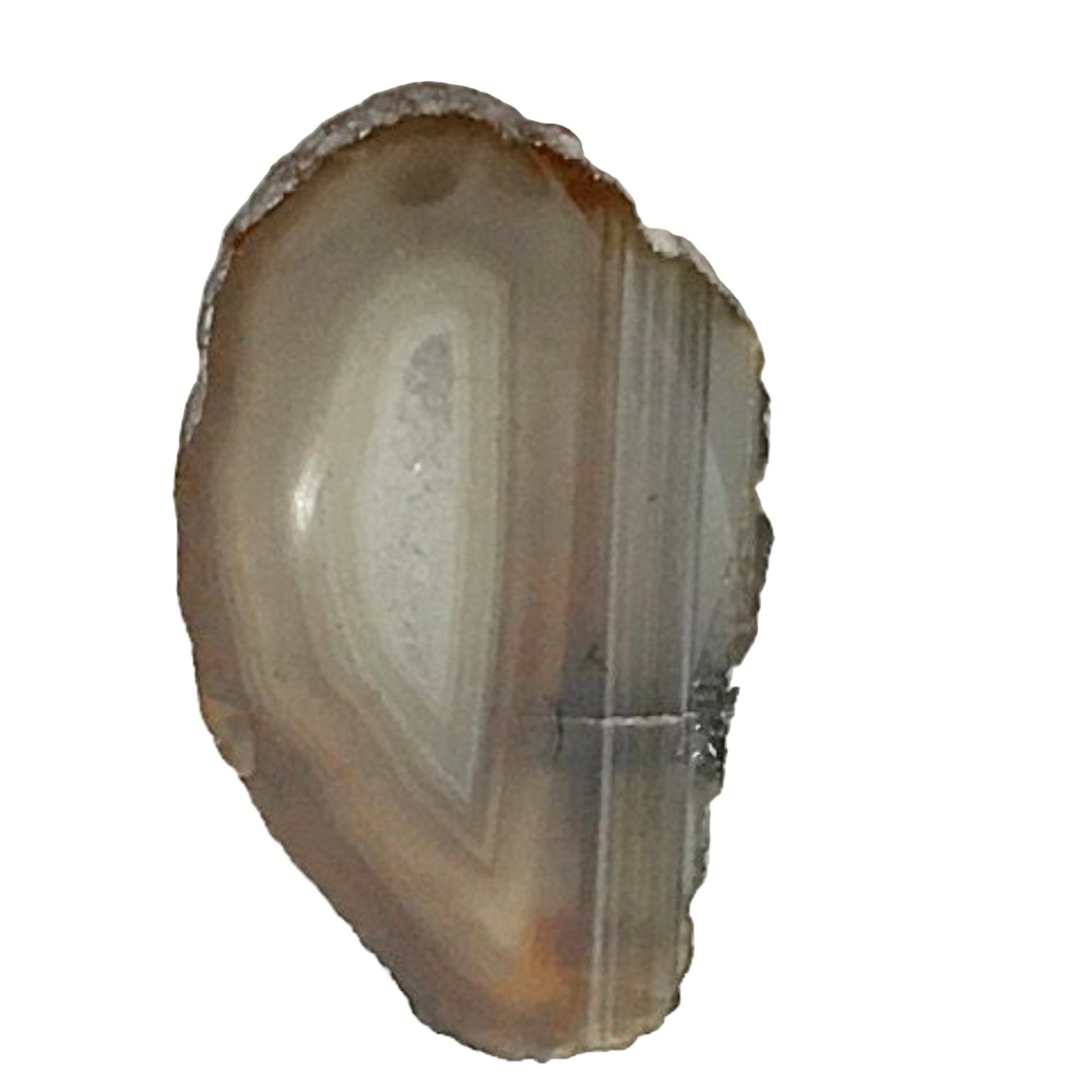 Natural Agate Slice 2 Inches - New Earth Gifts