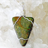 Ammolite Green Fossilized Pendant - New Earth Gifts