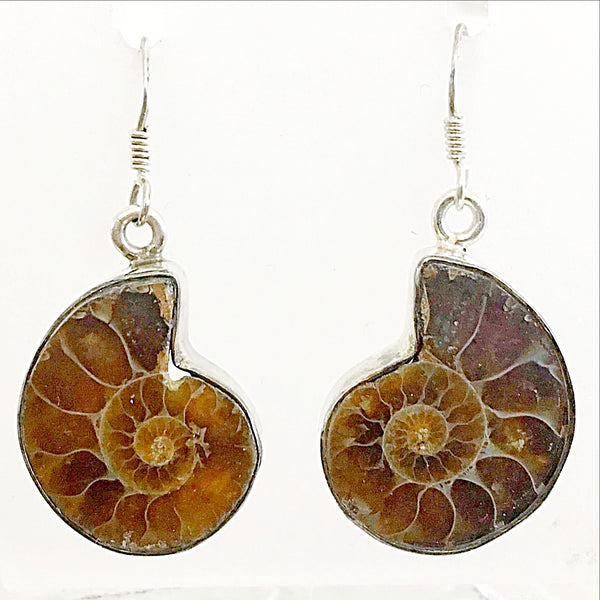 Goniatite Silver Earrings | New Earth Gifts