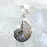 Ammonite Sterling Silver Pendant with Lovely Titanium Coating - New Earth Gifts