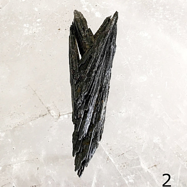 Black Kyanite Natural Specimens | New Earth Gifts