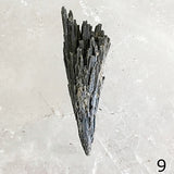 Black Kyanite Raw Blade Specimens | New Earth Gifts