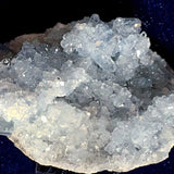 Celestite Several Small Crystals | New Earth Gifts