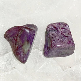 Charoite 1 Pc Tumbled Stone | New Earth Gifts