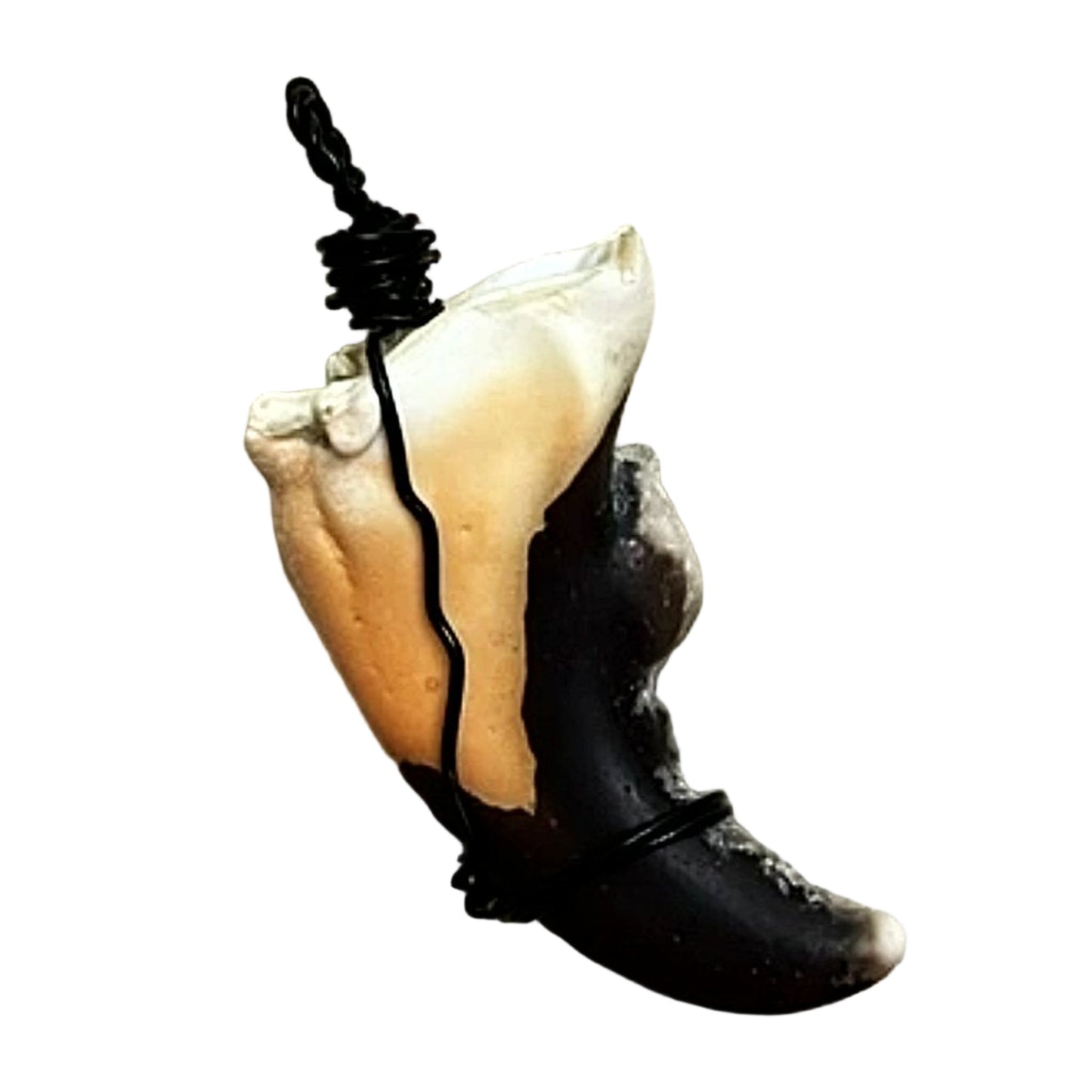 Stone Crab Claw Pendant - new earth gifts