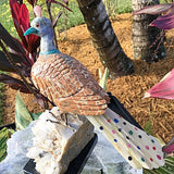 Gemstone Peacock - New Earth Gifts