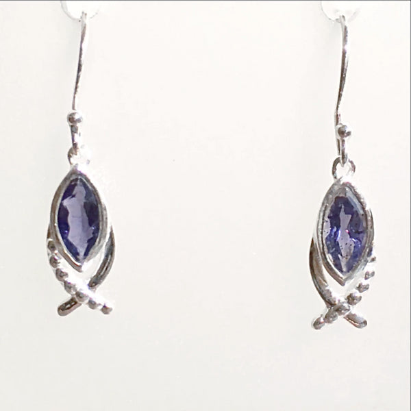 Iolite Fish Symbol Earrings - New Earth Gifts