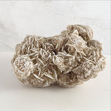 Desert Rose Selenite Specimen - New Earth Gifts