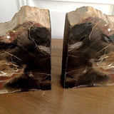 Petrified Wood Bookends | New Earth Gifts